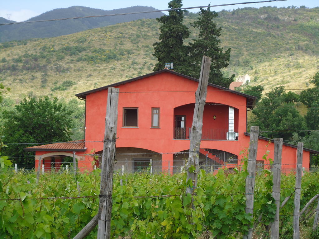 Agrituirsmo Masseria Campierti Falciano del Massico Kültér fotó